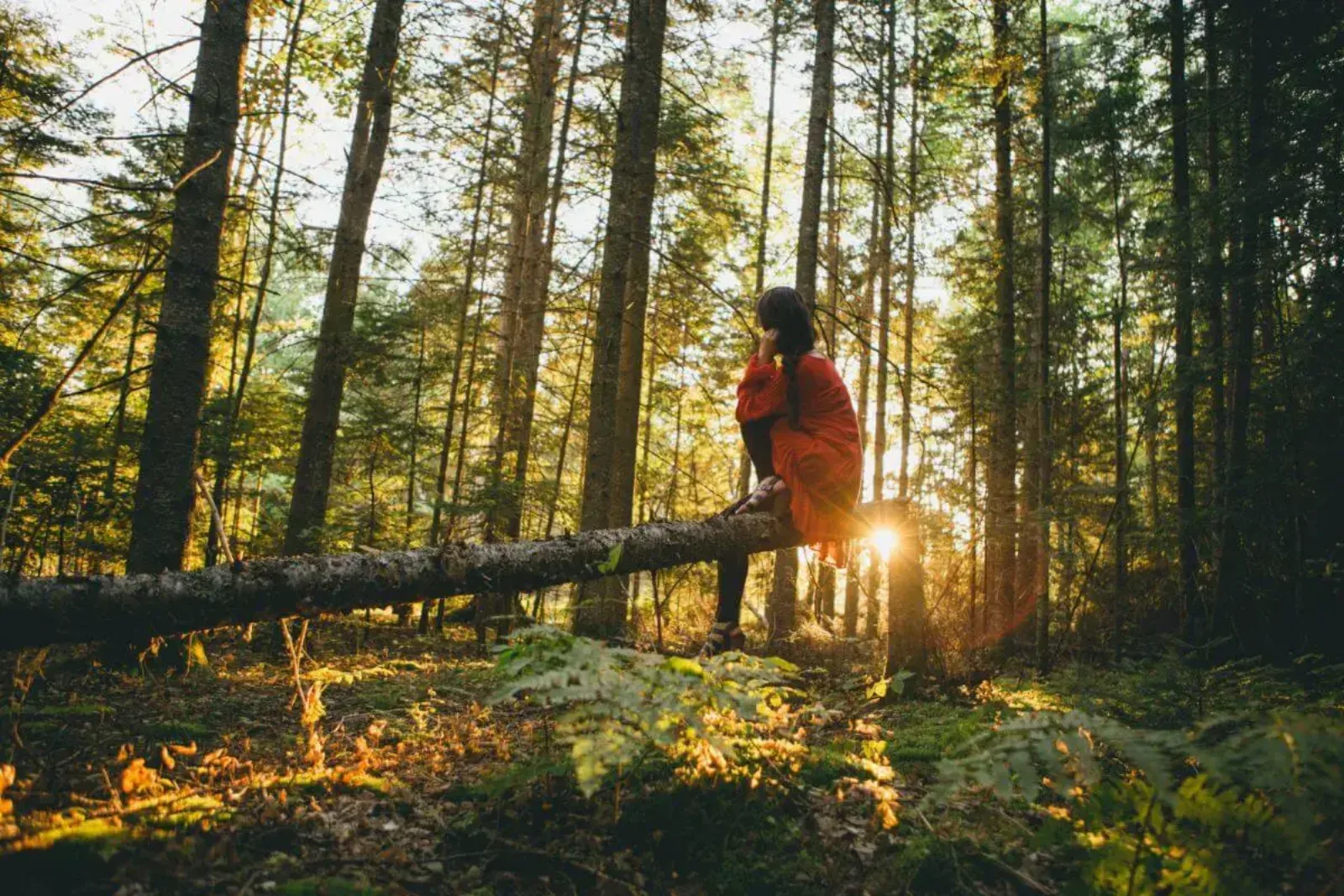 Why only environmentally sustainable companies have a future