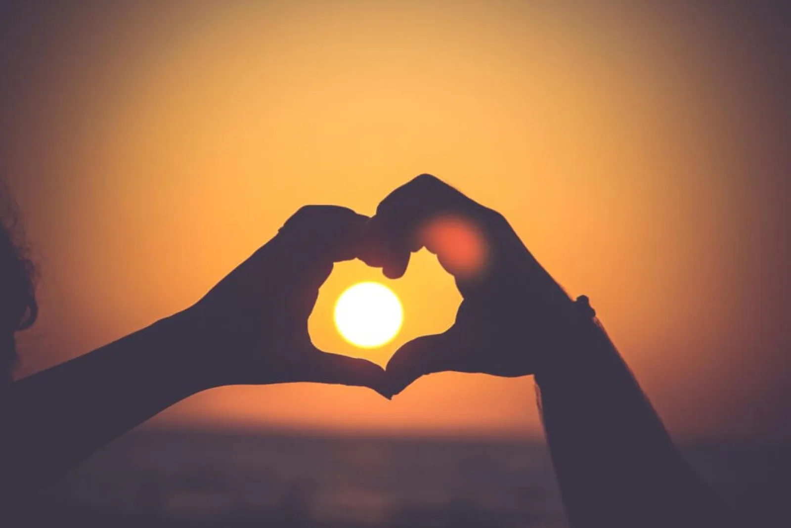 Is brand love real?