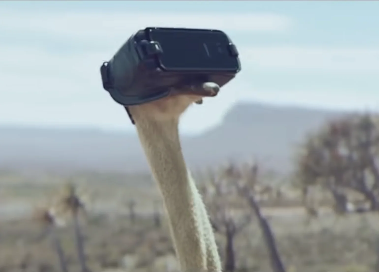 Samsung ostrich ad for April Fools Day marketing