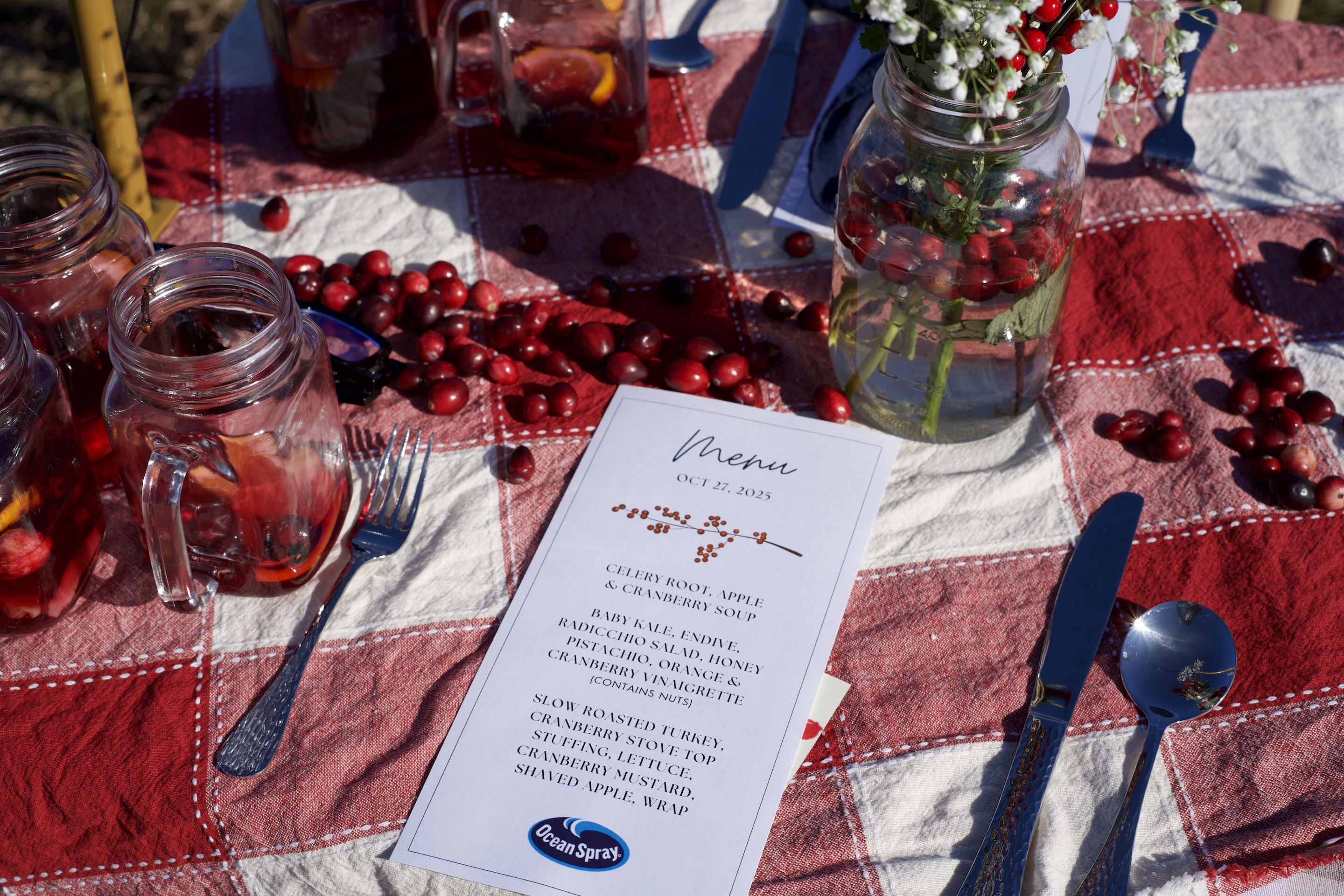 Ocean Spray: Influencer Marketing campaign photo