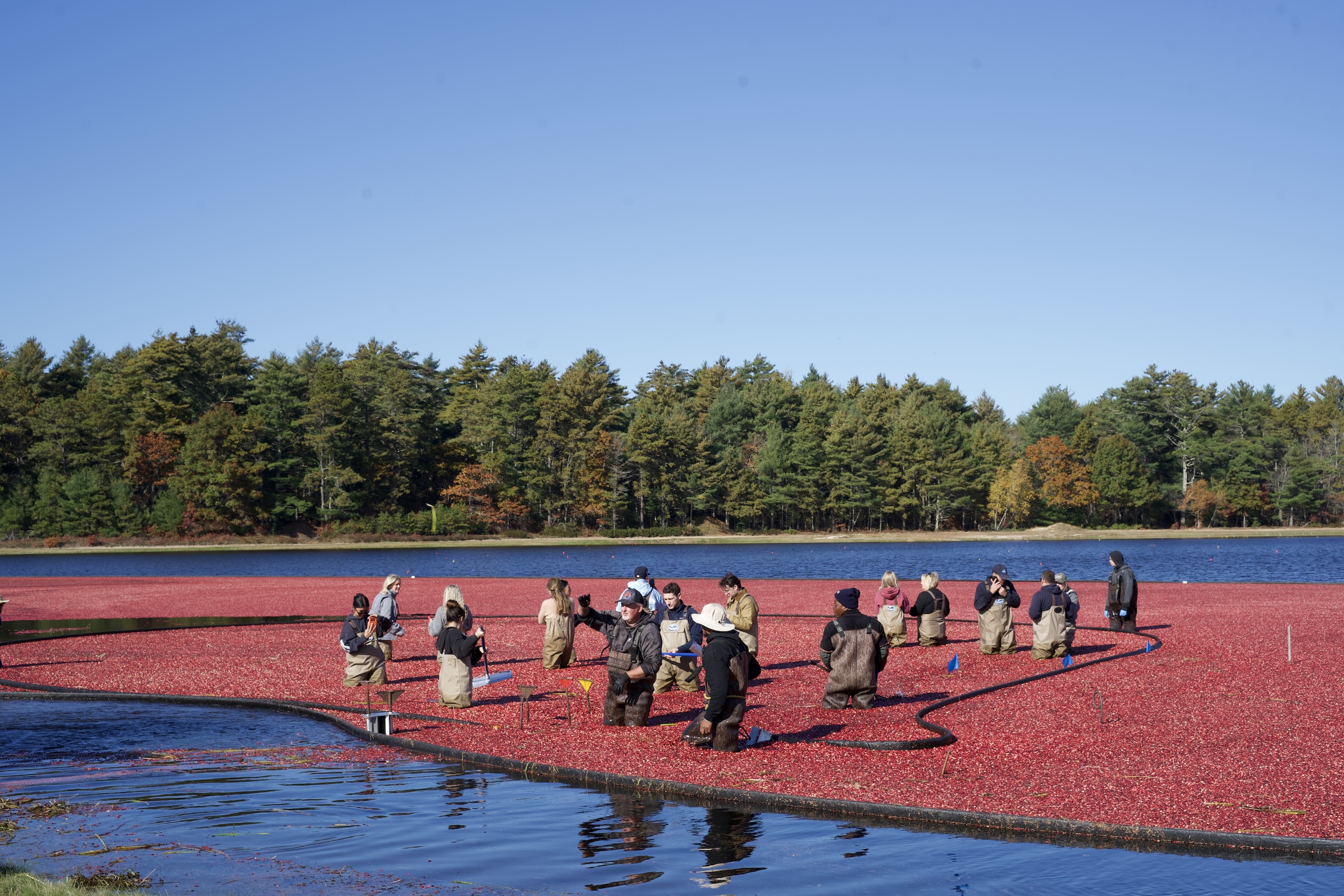 Ocean Spray: Influencer Marketing campaign photo